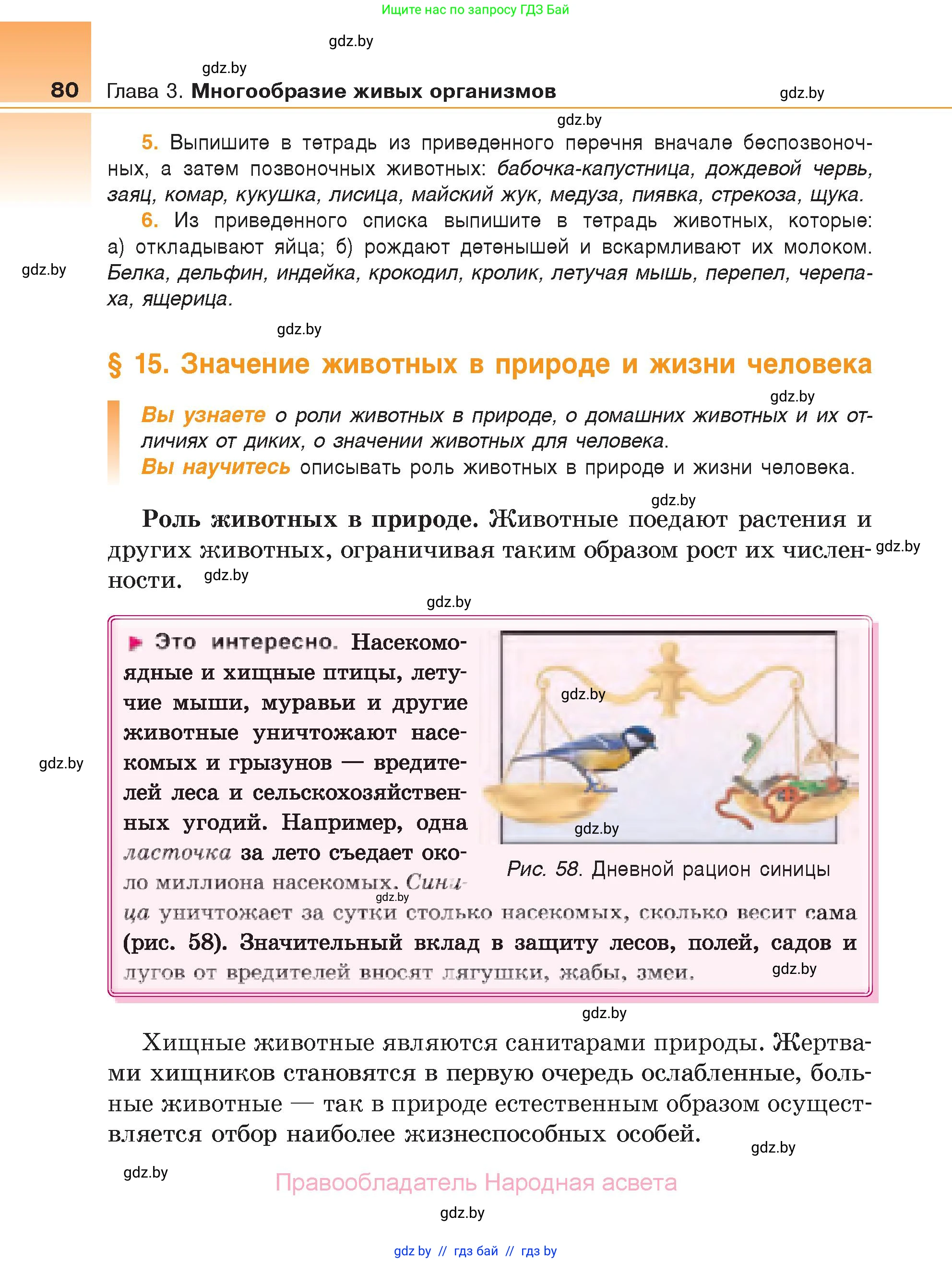 Биология, 6 класс Учебник, автор: Лисов Николай Дмитриевич, издательство Народная асвета, Минск, 2021, зелёного цвета, страница 80