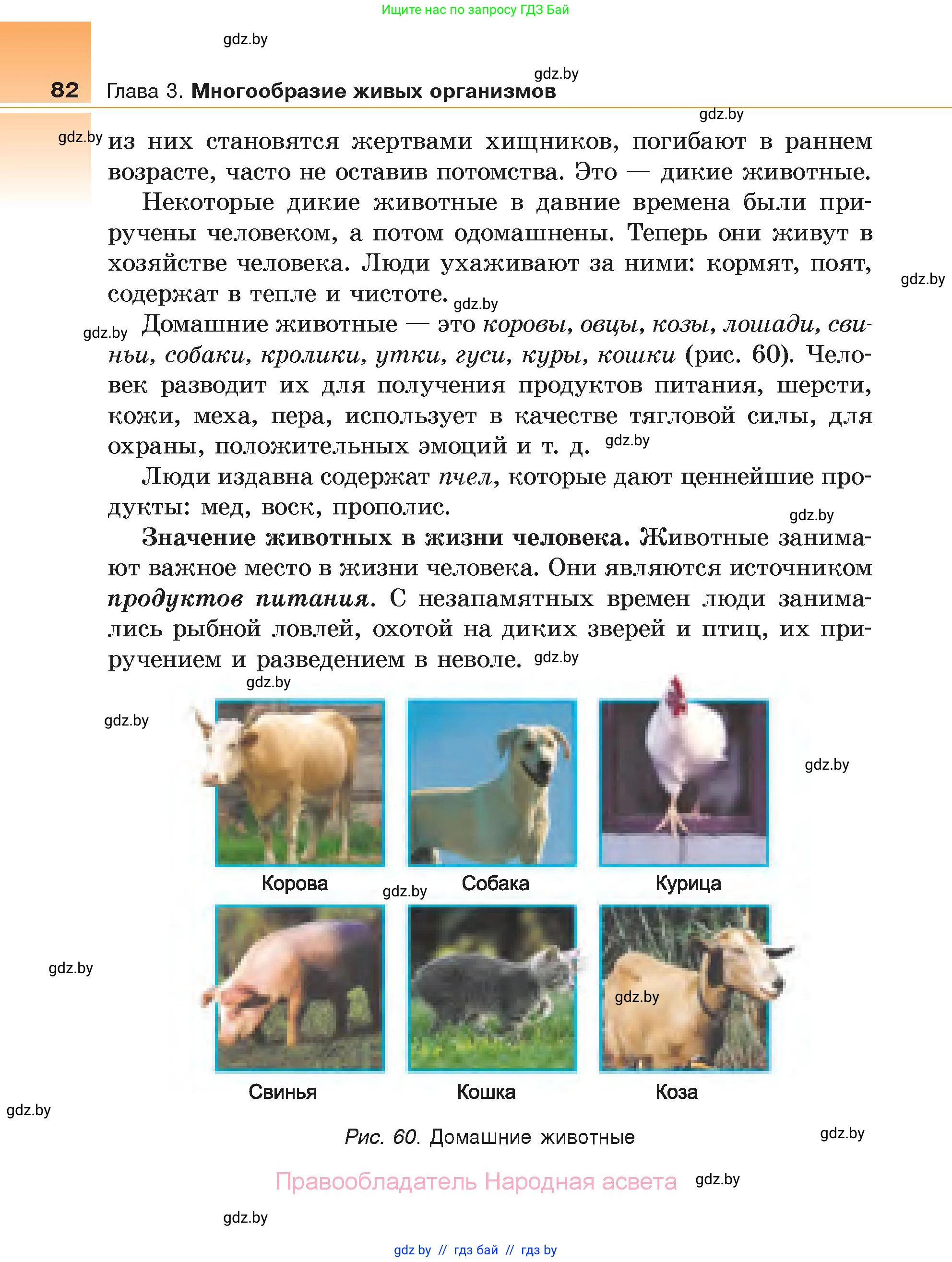 Биология, 6 класс Учебник, автор: Лисов Николай Дмитриевич, издательство Народная асвета, Минск, 2021, зелёного цвета, страница 82