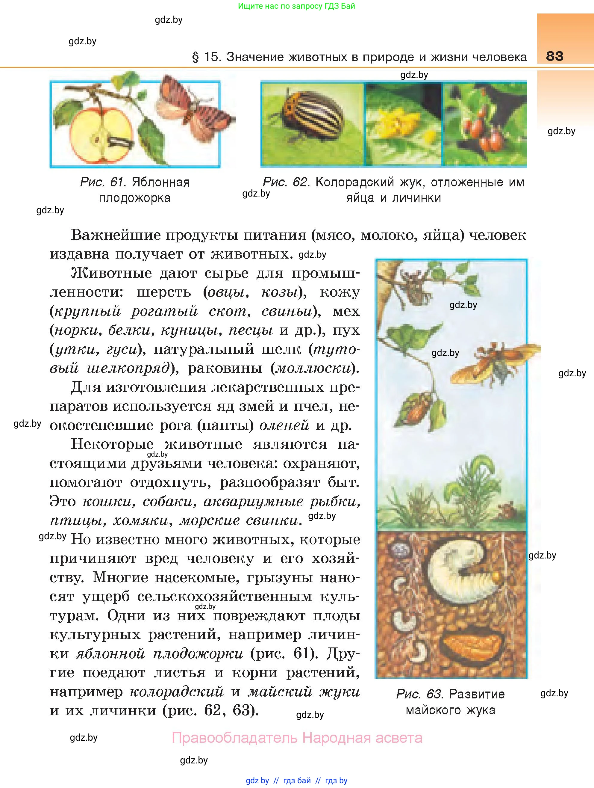 Биология, 6 класс Учебник, автор: Лисов Николай Дмитриевич, издательство Народная асвета, Минск, 2021, зелёного цвета, страница 83