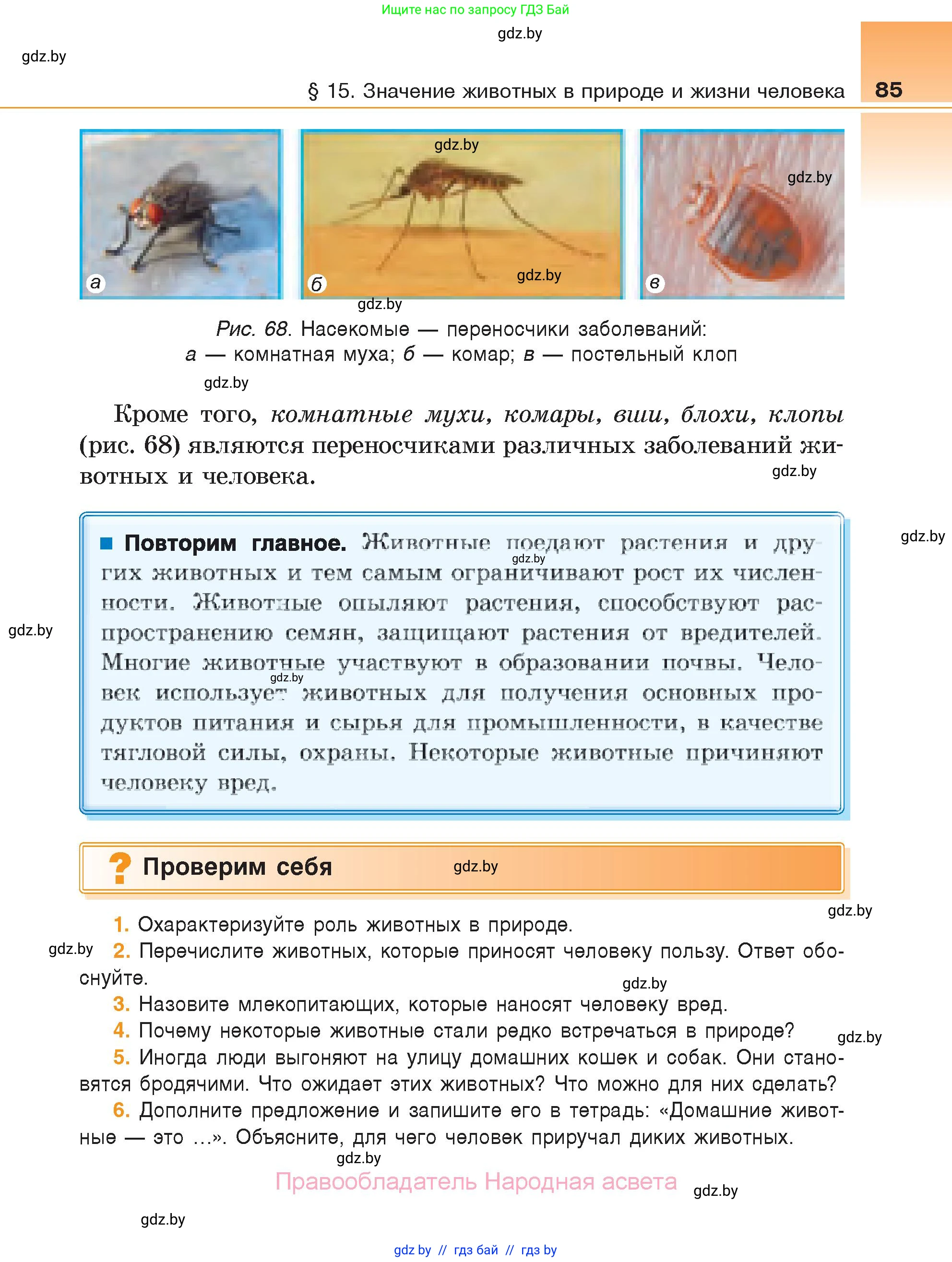 Биология, 6 класс Учебник, автор: Лисов Николай Дмитриевич, издательство Народная асвета, Минск, 2021, зелёного цвета, страница 85