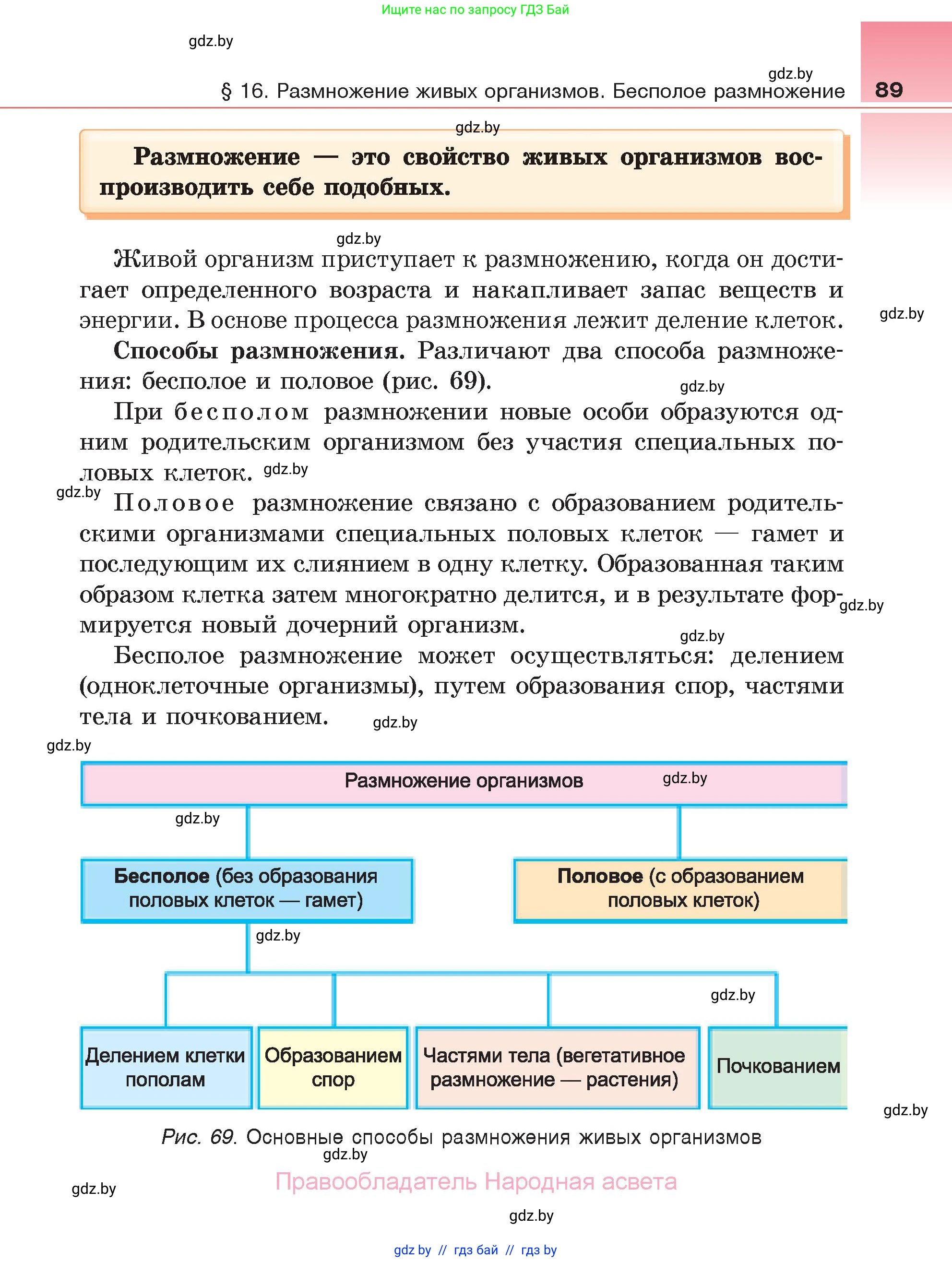 Биология, 6 класс Учебник, автор: Лисов Николай Дмитриевич, издательство Народная асвета, Минск, 2021, зелёного цвета, страница 89