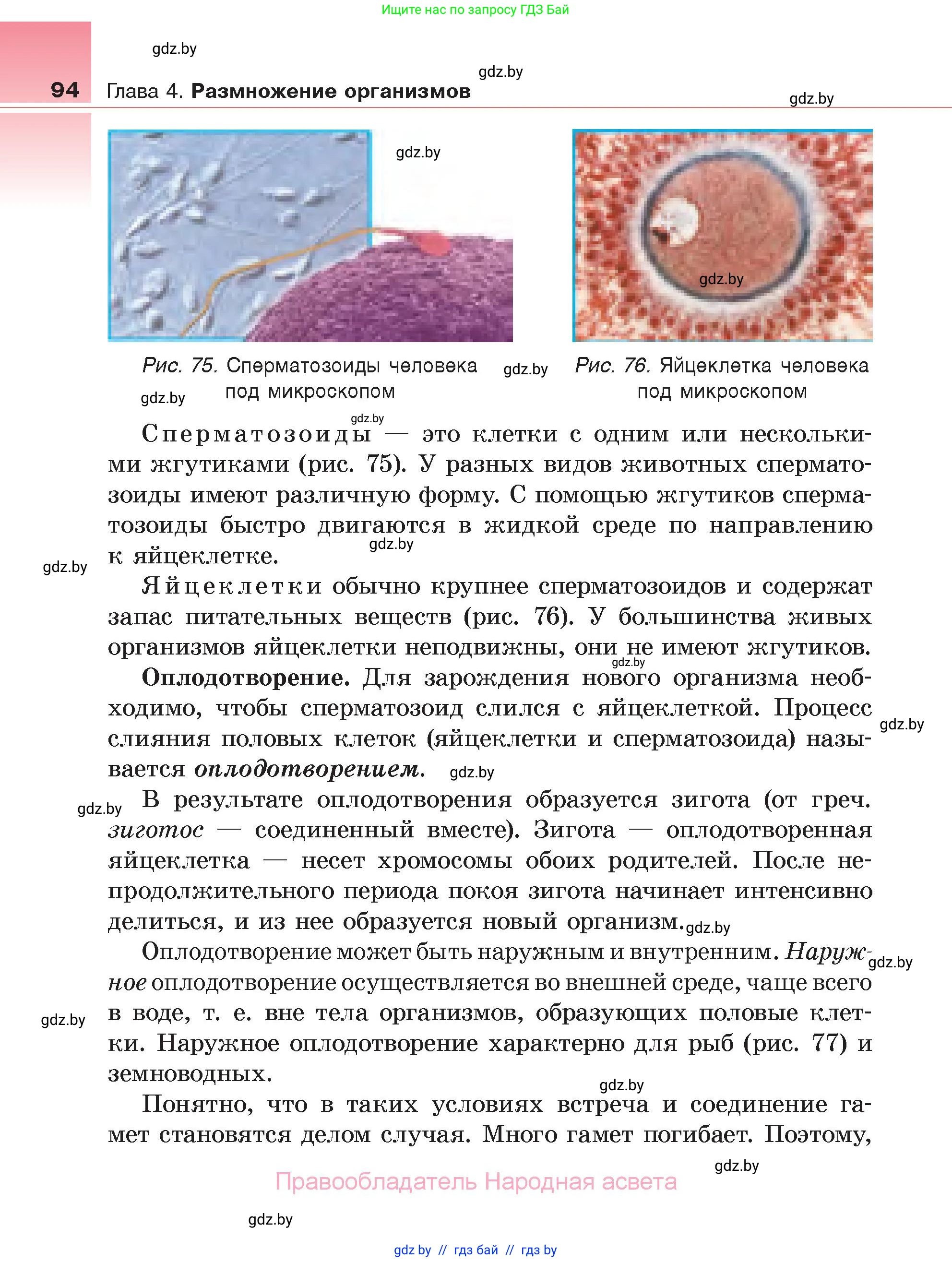 Биология, 6 класс Учебник, автор: Лисов Николай Дмитриевич, издательство Народная асвета, Минск, 2021, зелёного цвета, страница 94
