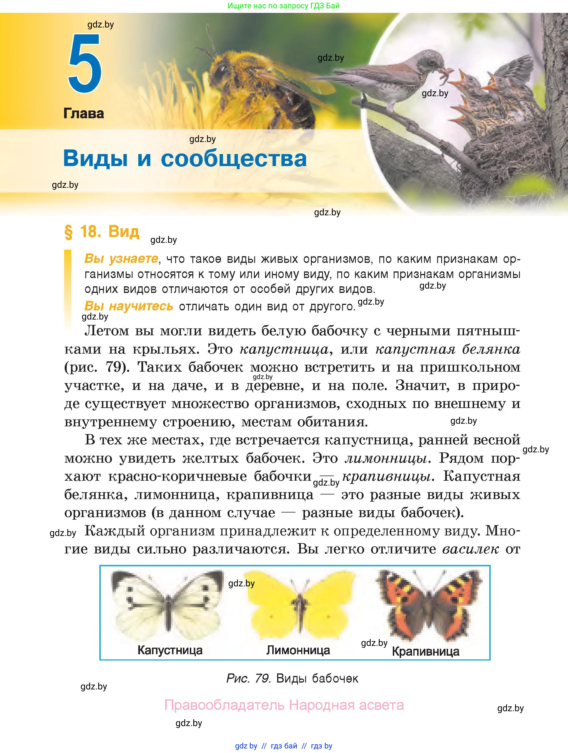 Биология, 6 класс Учебник, автор: Лисов Николай Дмитриевич, издательство Народная асвета, Минск, 2021, зелёного цвета, страница 98