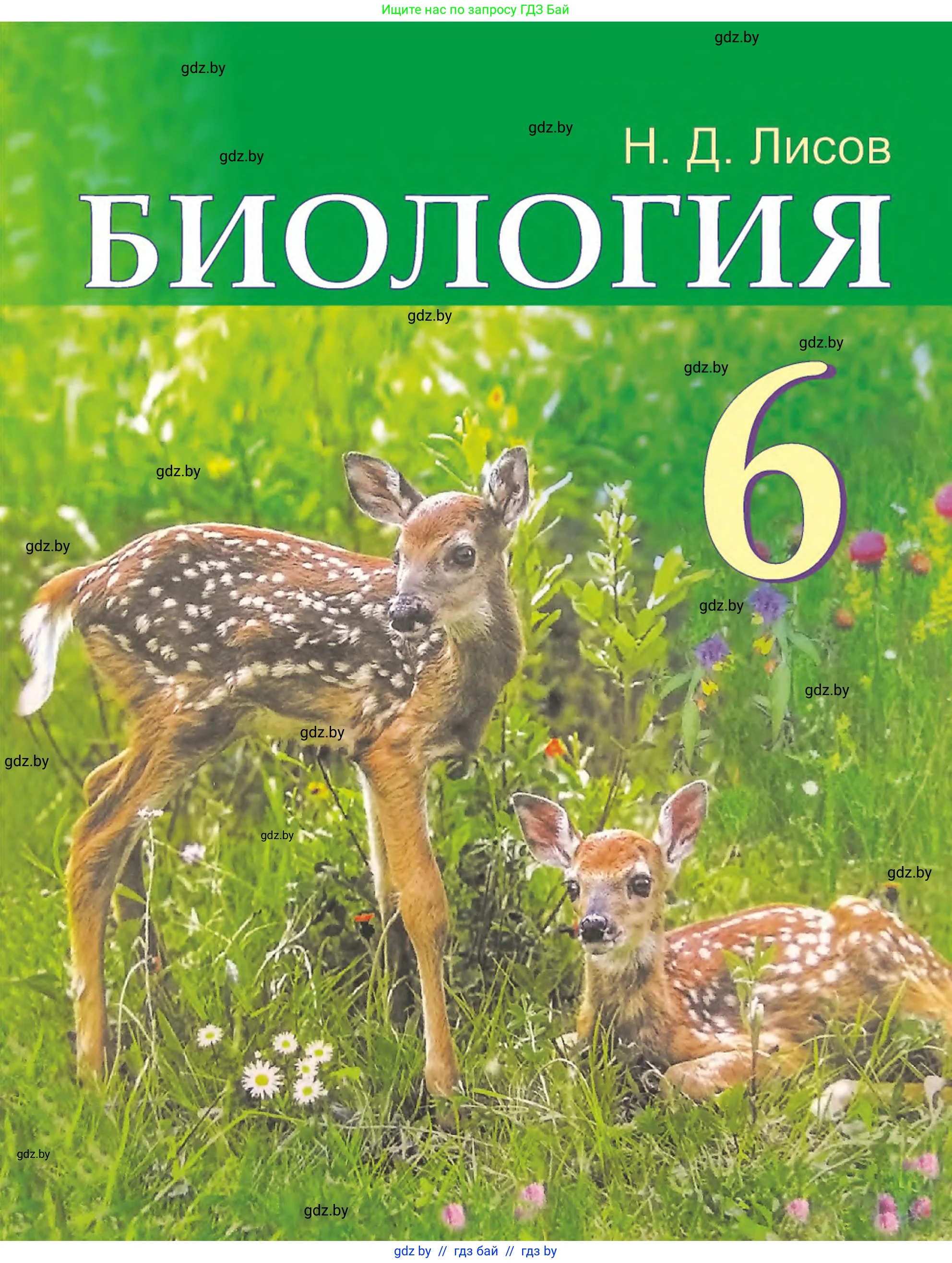 Биология, 6 класс Учебник, автор: Лисов Николай Дмитриевич, издательство Народная асвета, Минск, 2021, зелёного цвета, 