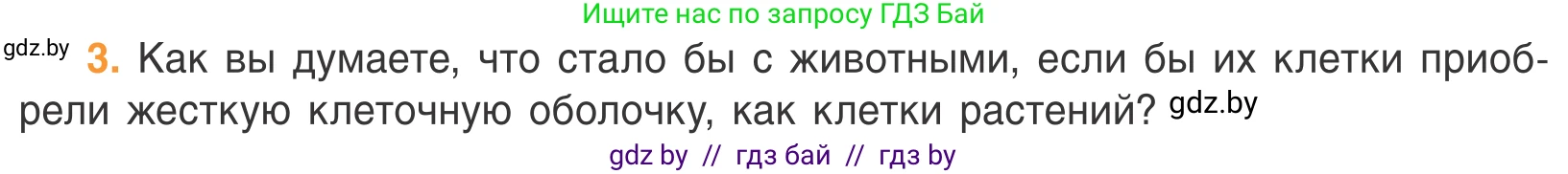 Биология, 6 класс Учебник, автор: Лисов Николай Дмитриевич, издательство Народная асвета, Минск, 2021, зелёного цвета, страница 74, номер 3, Условие