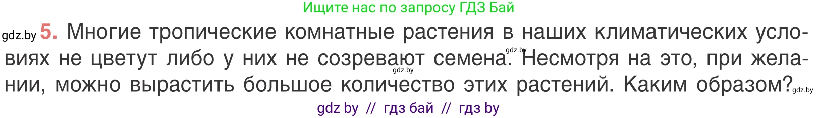 Биология, 6 класс Учебник, автор: Лисов Николай Дмитриевич, издательство Народная асвета, Минск, 2021, зелёного цвета, страница 93, номер 5, Условие