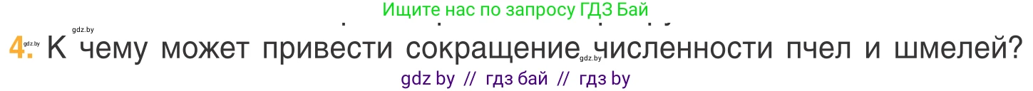Биология, 6 класс Учебник, автор: Лисов Николай Дмитриевич, издательство Народная асвета, Минск, 2021, зелёного цвета, страница 108, номер 4, Условие