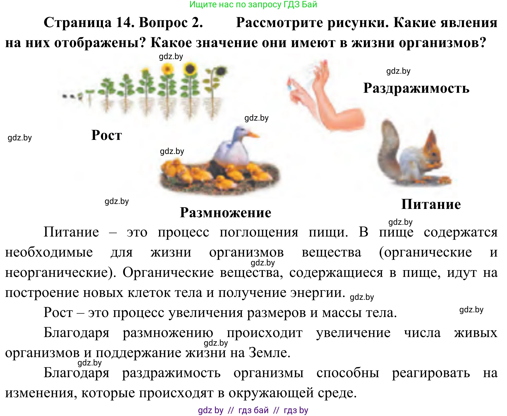 Биология, 6 класс Учебник, автор: Лисов Николай Дмитриевич, издательство Народная асвета, Минск, 2021, зелёного цвета, страница 14, номер 2, Решение