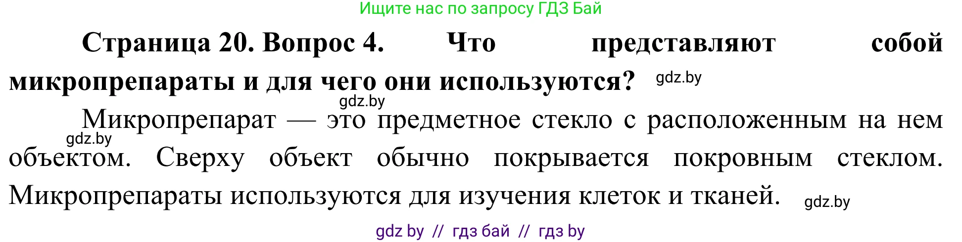 Биология, 6 класс Учебник, автор: Лисов Николай Дмитриевич, издательство Народная асвета, Минск, 2021, зелёного цвета, страница 20, номер 4, Решение