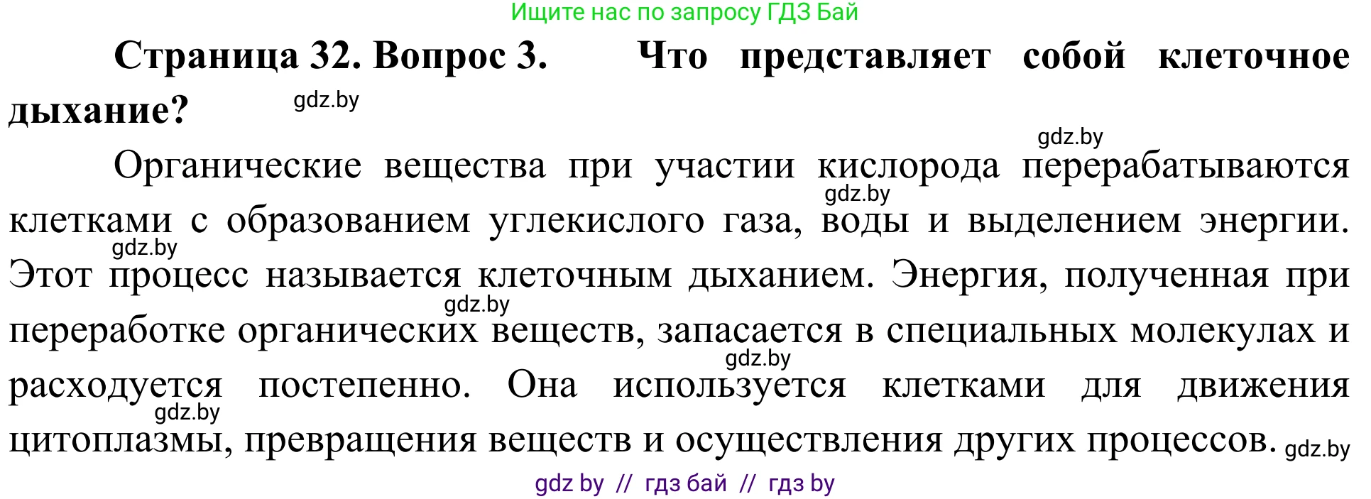 Биология, 6 класс Учебник, автор: Лисов Николай Дмитриевич, издательство Народная асвета, Минск, 2021, зелёного цвета, страница 32, номер 3, Решение