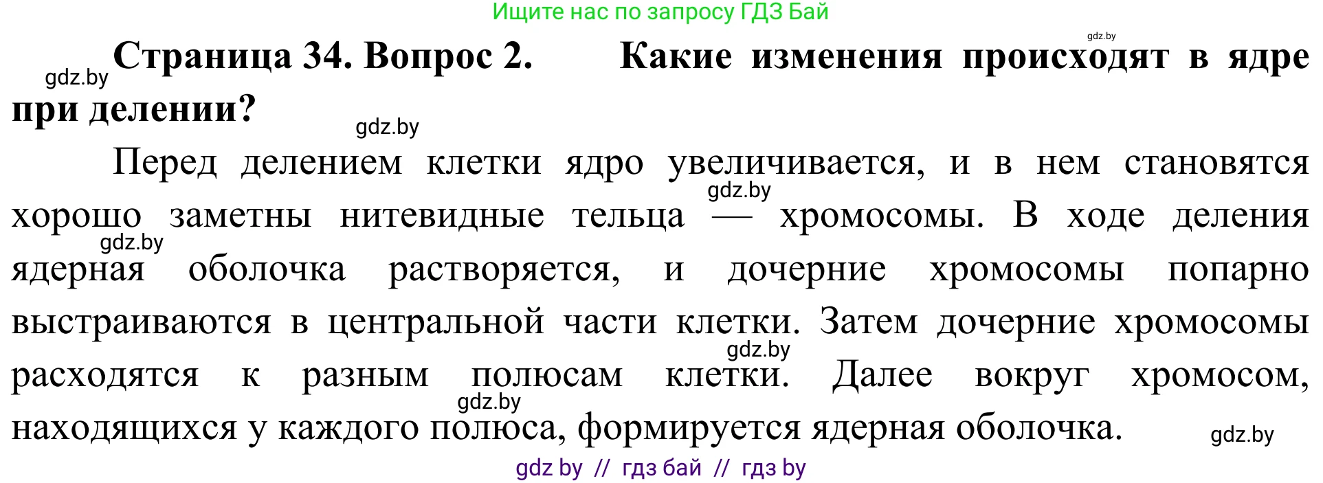 Биология, 6 класс Учебник, автор: Лисов Николай Дмитриевич, издательство Народная асвета, Минск, 2021, зелёного цвета, страница 34, номер 2, Решение