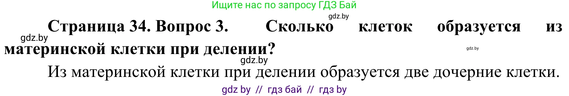 Биология, 6 класс Учебник, автор: Лисов Николай Дмитриевич, издательство Народная асвета, Минск, 2021, зелёного цвета, страница 34, номер 3, Решение