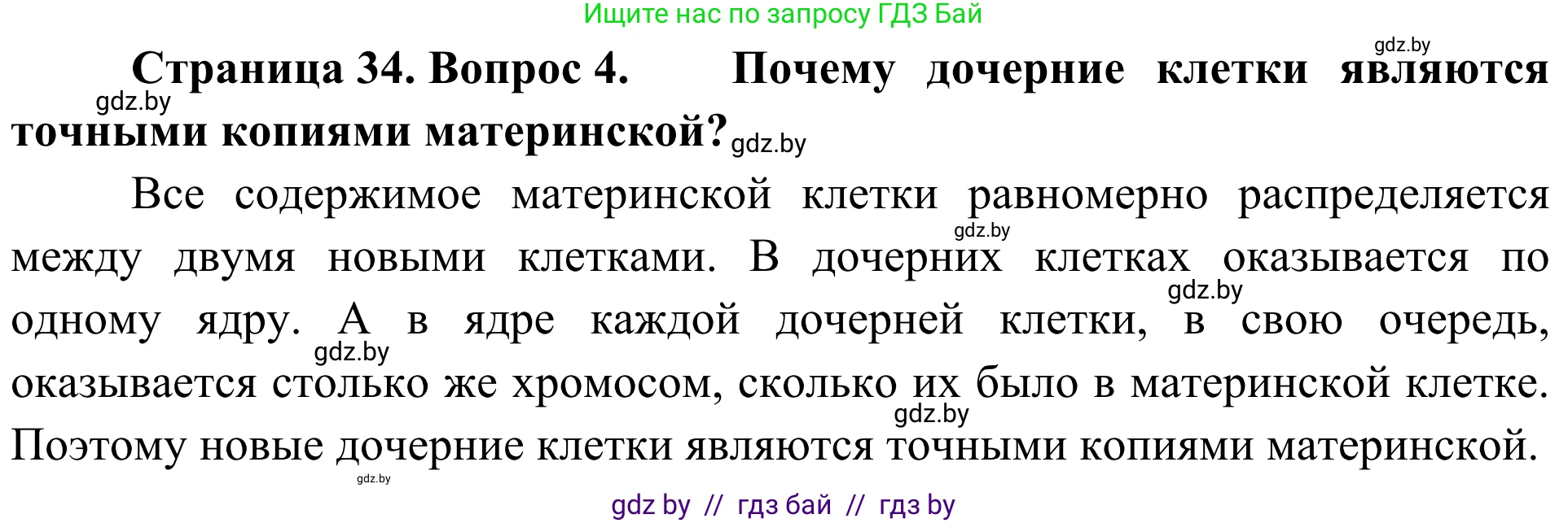 Биология, 6 класс Учебник, автор: Лисов Николай Дмитриевич, издательство Народная асвета, Минск, 2021, зелёного цвета, страница 34, номер 4, Решение