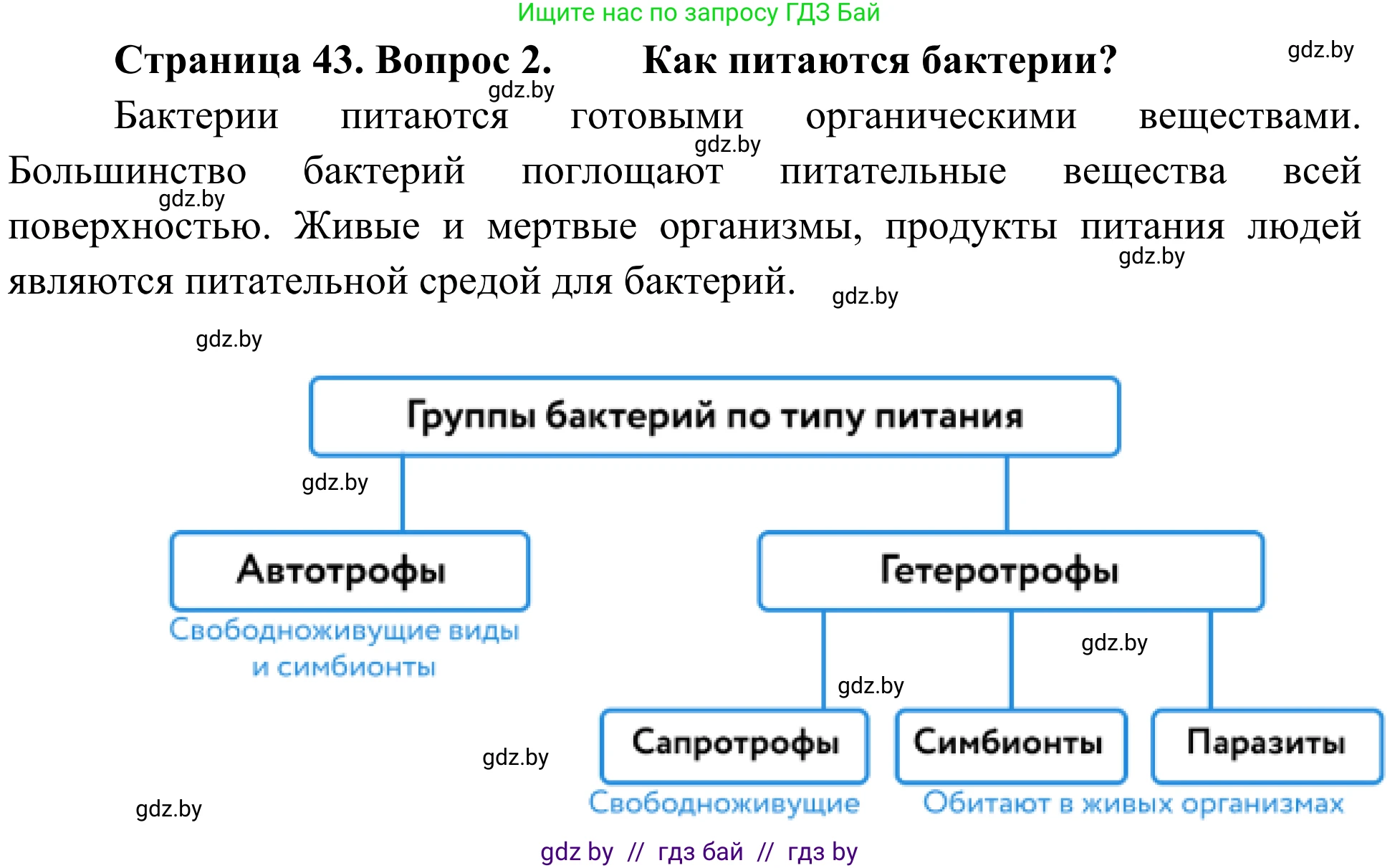 Биология, 6 класс Учебник, автор: Лисов Николай Дмитриевич, издательство Народная асвета, Минск, 2021, зелёного цвета, страница 43, номер 2, Решение