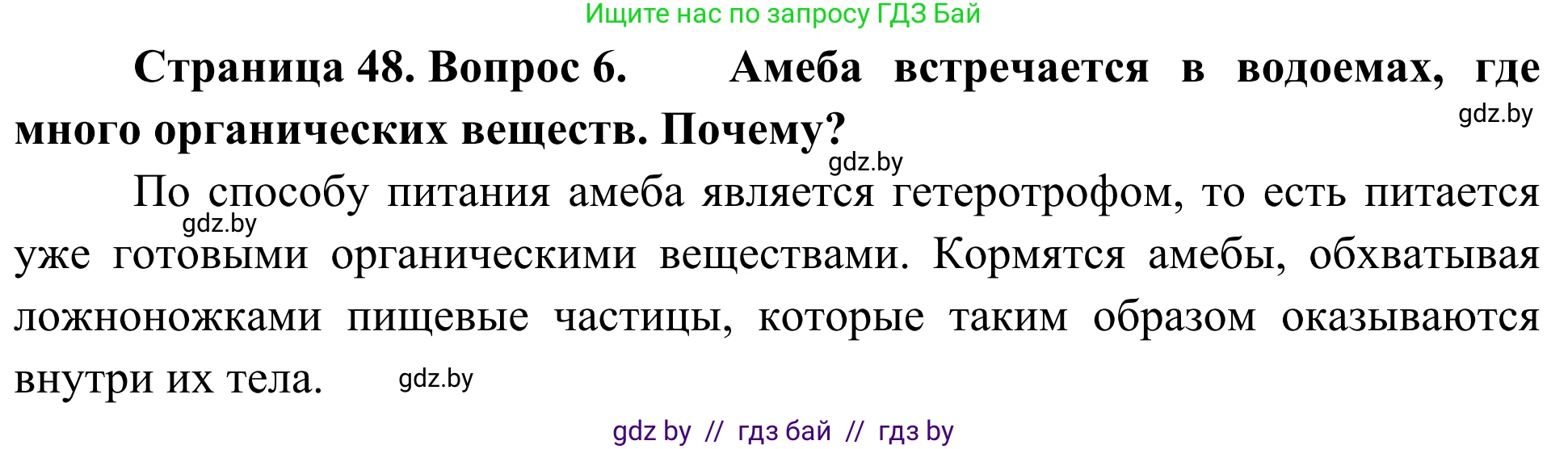 Биология, 6 класс Учебник, автор: Лисов Николай Дмитриевич, издательство Народная асвета, Минск, 2021, зелёного цвета, страница 48, номер 6, Решение