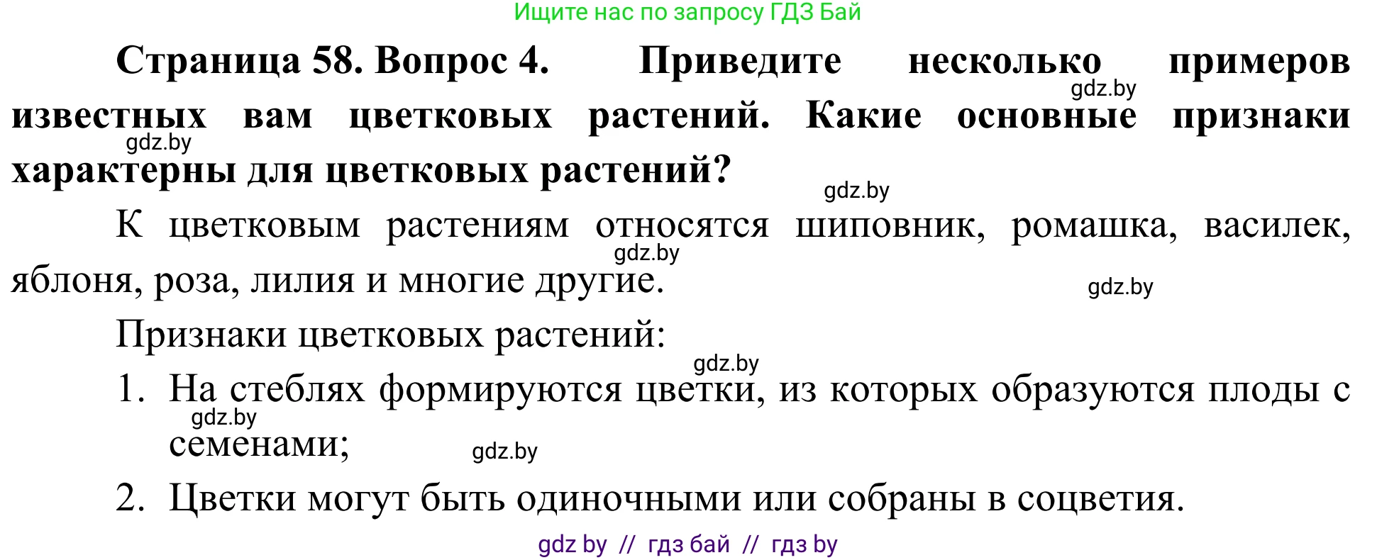 Биология, 6 класс Учебник, автор: Лисов Николай Дмитриевич, издательство Народная асвета, Минск, 2021, зелёного цвета, страница 58, номер 4, Решение