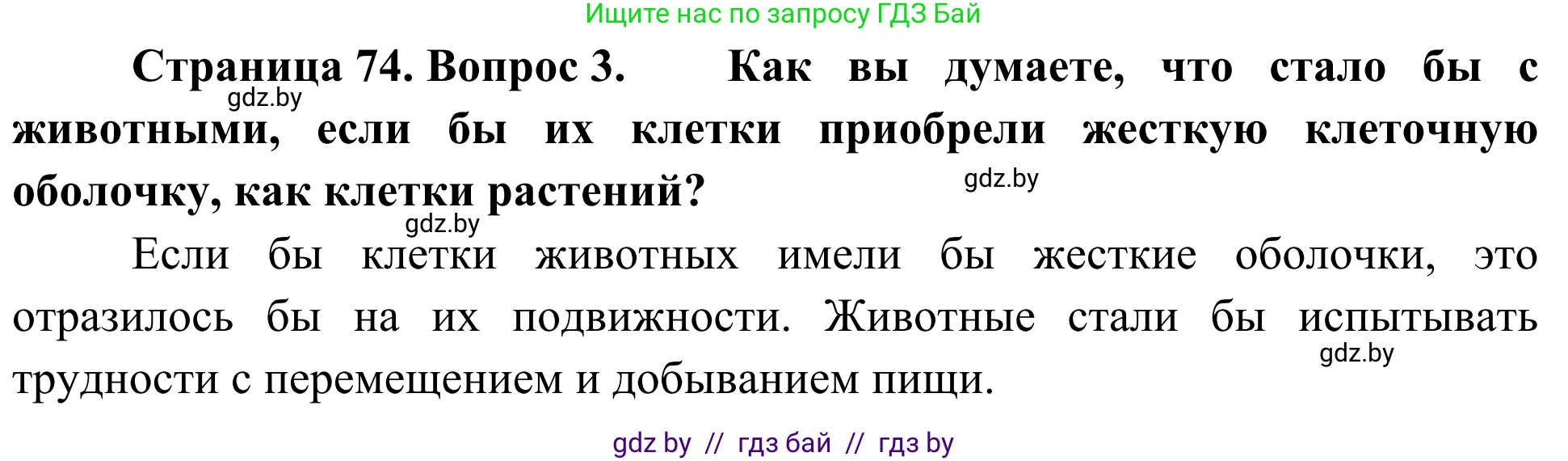 Биология, 6 класс Учебник, автор: Лисов Николай Дмитриевич, издательство Народная асвета, Минск, 2021, зелёного цвета, страница 74, номер 3, Решение