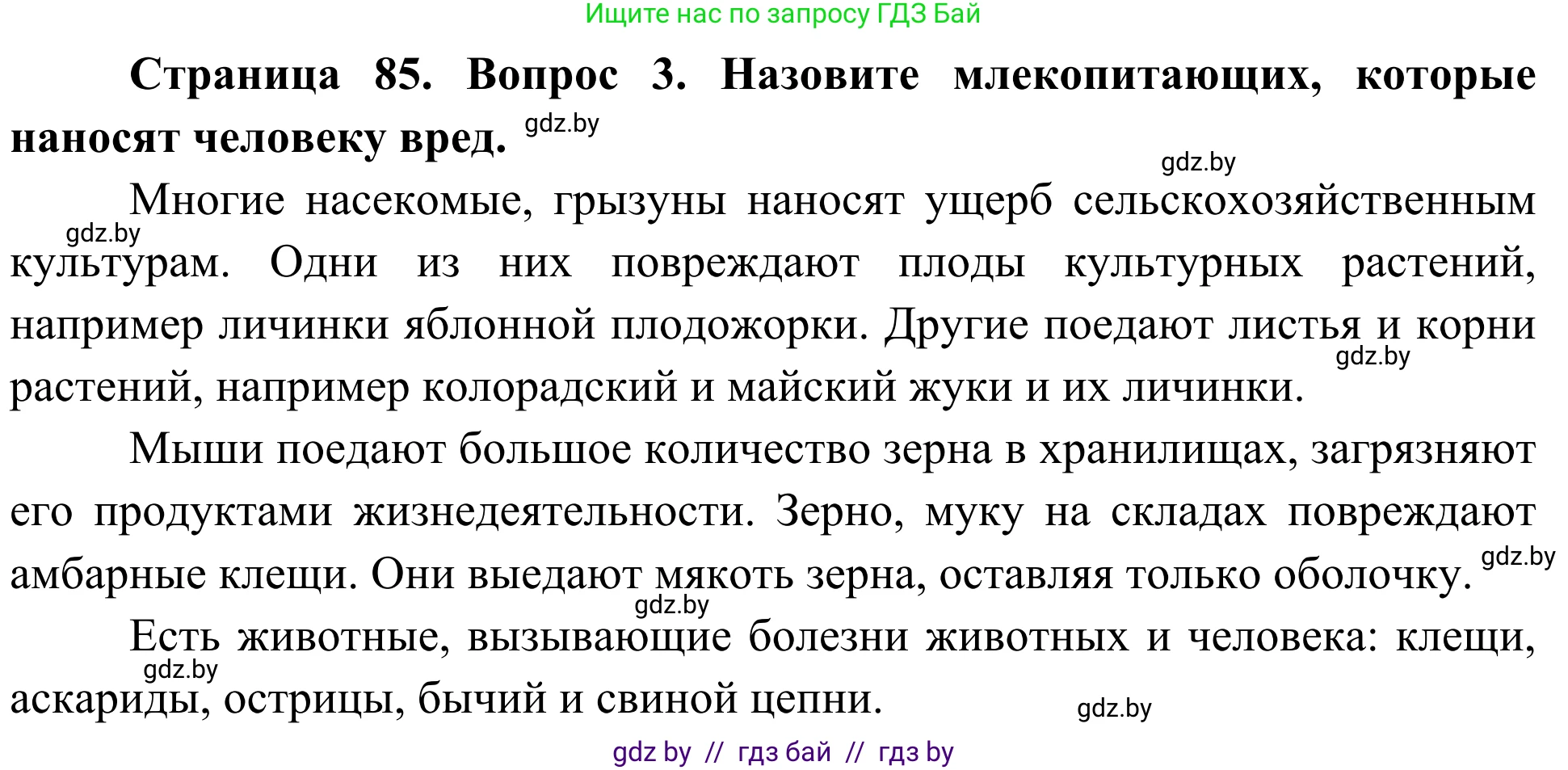 Биология, 6 класс Учебник, автор: Лисов Николай Дмитриевич, издательство Народная асвета, Минск, 2021, зелёного цвета, страница 85, номер 3, Решение