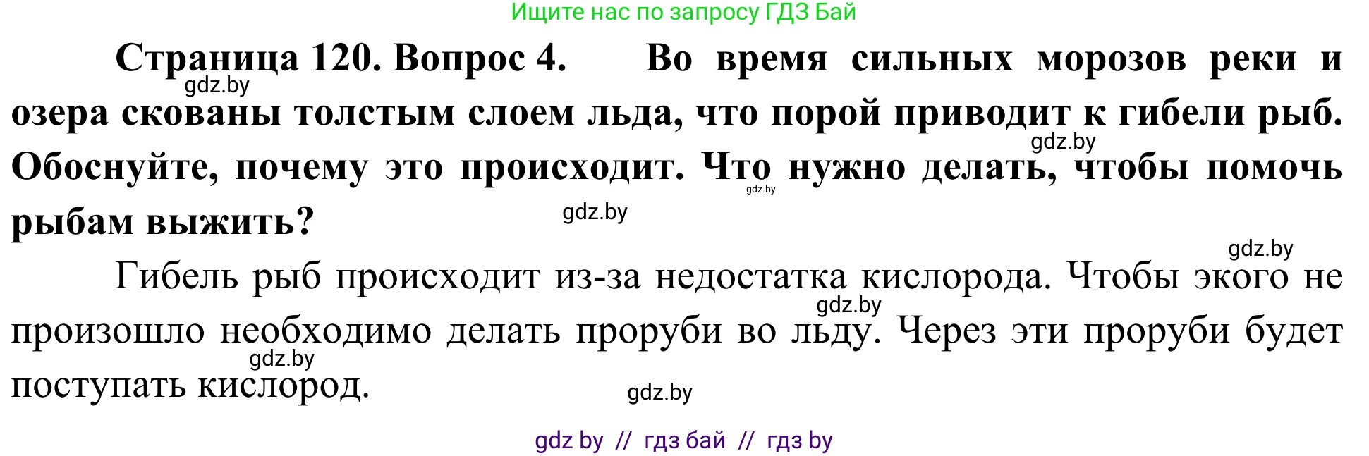 Биология, 6 класс Учебник, автор: Лисов Николай Дмитриевич, издательство Народная асвета, Минск, 2021, зелёного цвета, страница 120, номер 4, Решение