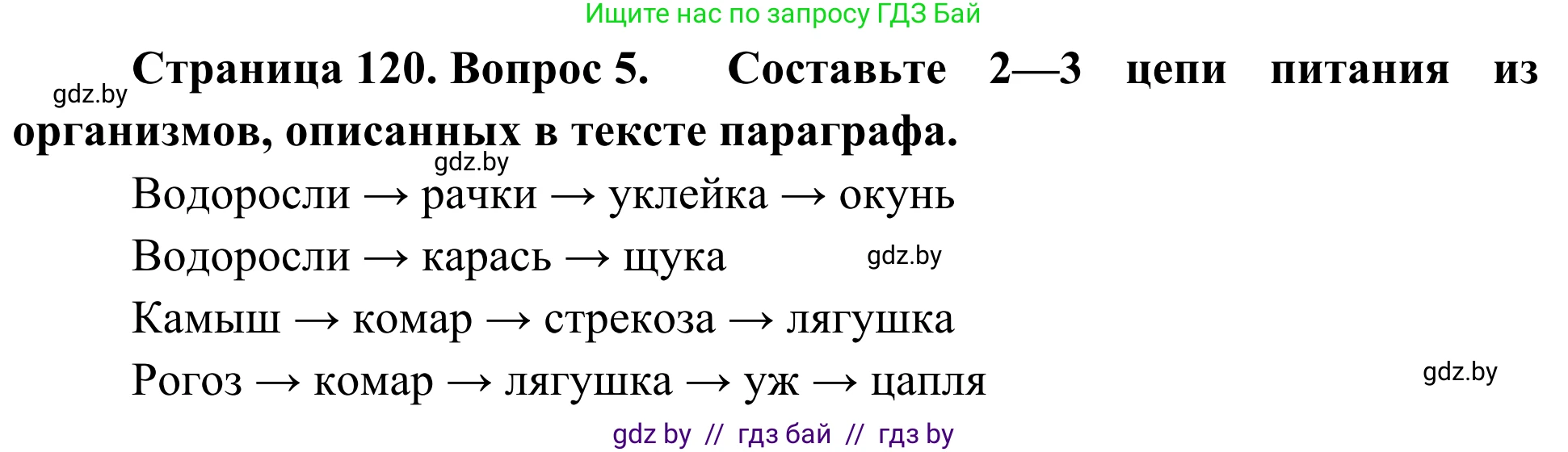 Биология, 6 класс Учебник, автор: Лисов Николай Дмитриевич, издательство Народная асвета, Минск, 2021, зелёного цвета, страница 120, номер 5, Решение