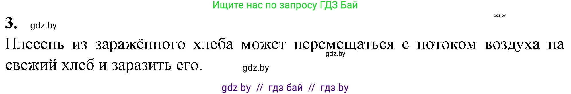 Биология, 7 класс Тетрадь для лабораторных и практических работ, автор: Лисов Николай Дмитриевич, издательство Аверсэв, Минск, 2022, зелёного цвета, страница 13, Решение