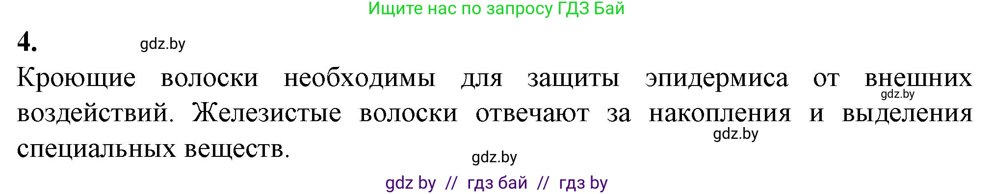 Биология, 7 класс Тетрадь для лабораторных и практических работ, автор: Лисов Николай Дмитриевич, издательство Аверсэв, Минск, 2022, зелёного цвета, страница 17, номер 4, Решение