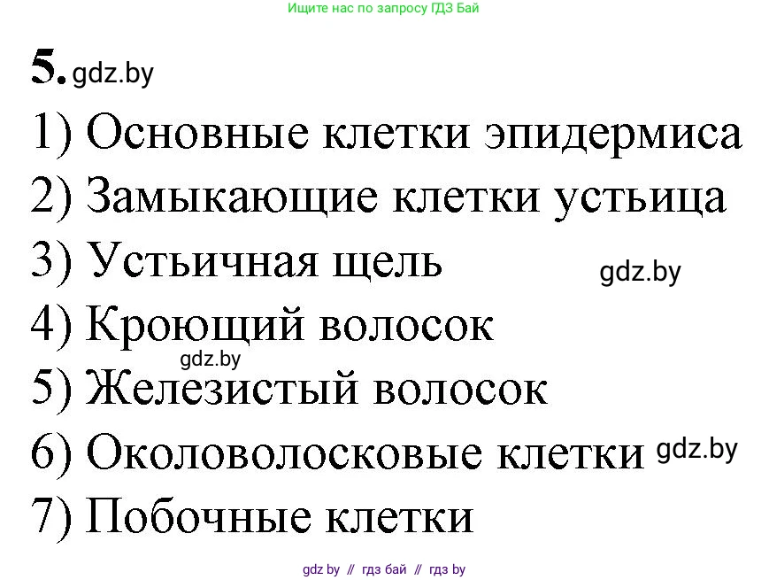 Биология, 7 класс Тетрадь для лабораторных и практических работ, автор: Лисов Николай Дмитриевич, издательство Аверсэв, Минск, 2022, зелёного цвета, страница 18, номер 5, Решение