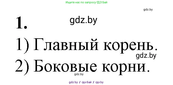 Биология, 7 класс Тетрадь для лабораторных и практических работ, автор: Лисов Николай Дмитриевич, издательство Аверсэв, Минск, 2022, зелёного цвета, страница 26, номер 1, Решение