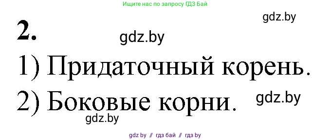 Биология, 7 класс Тетрадь для лабораторных и практических работ, автор: Лисов Николай Дмитриевич, издательство Аверсэв, Минск, 2022, зелёного цвета, страница 26, номер 2, Решение