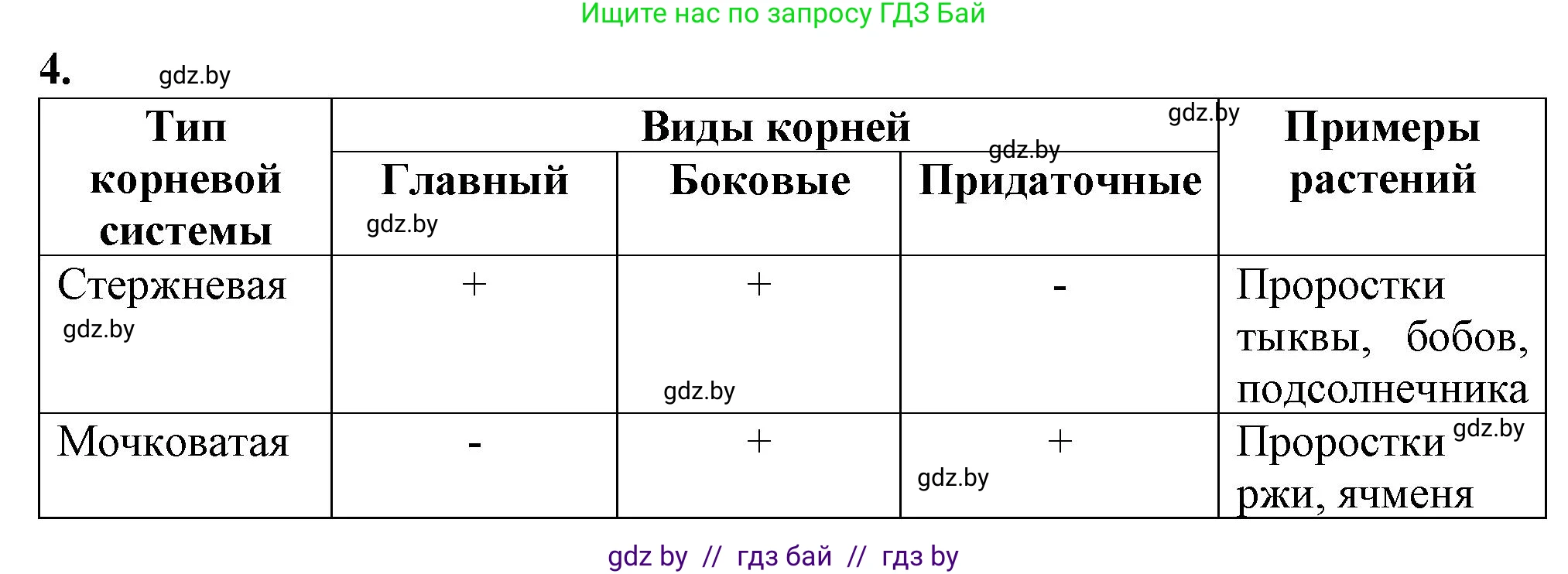 Биология, 7 класс Тетрадь для лабораторных и практических работ, автор: Лисов Николай Дмитриевич, издательство Аверсэв, Минск, 2022, зелёного цвета, страница 27, номер 4, Решение
