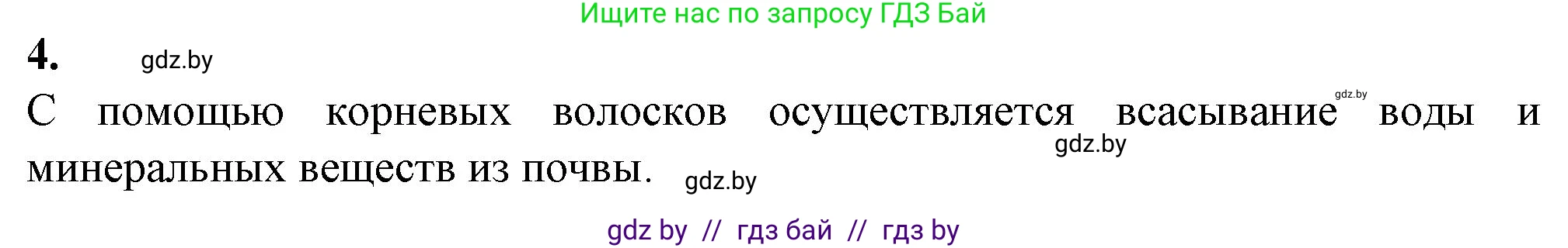 Биология, 7 класс Тетрадь для лабораторных и практических работ, автор: Лисов Николай Дмитриевич, издательство Аверсэв, Минск, 2022, зелёного цвета, страница 29, номер 4, Решение