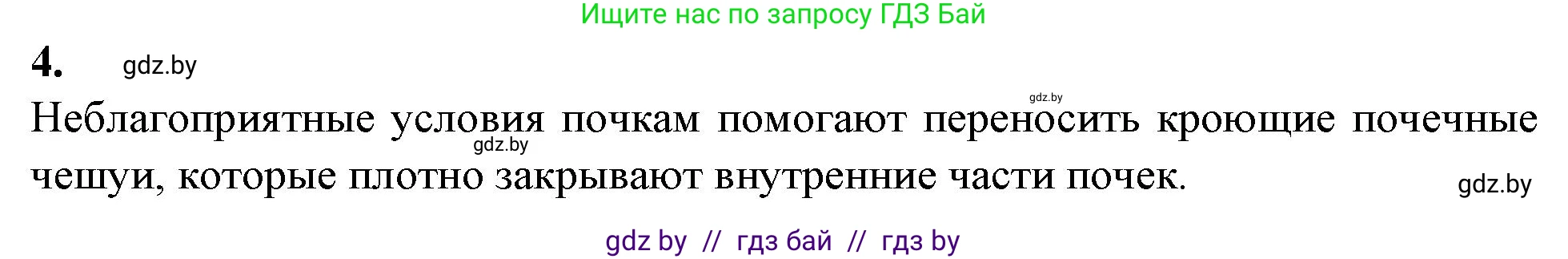 Биология, 7 класс Тетрадь для лабораторных и практических работ, автор: Лисов Николай Дмитриевич, издательство Аверсэв, Минск, 2022, зелёного цвета, страница 31, номер 4, Решение