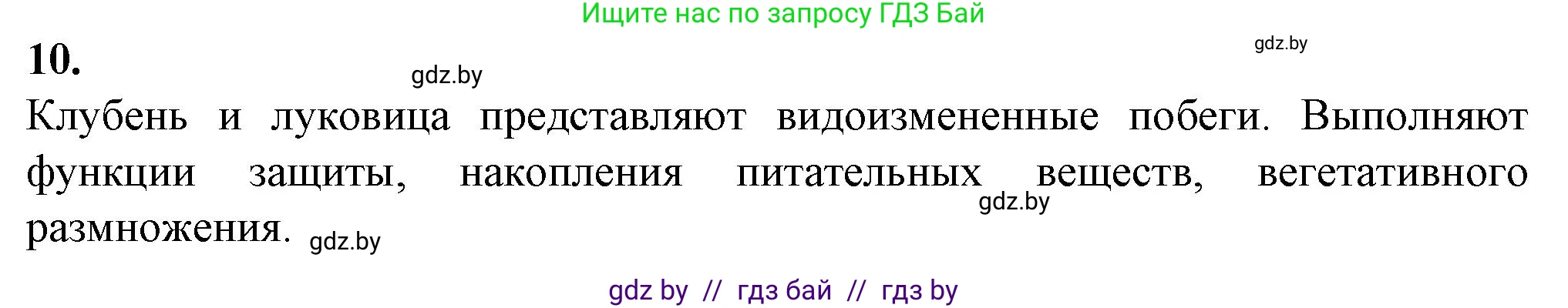 Биология, 7 класс Тетрадь для лабораторных и практических работ, автор: Лисов Николай Дмитриевич, издательство Аверсэв, Минск, 2022, зелёного цвета, страница 42, номер 10, Решение