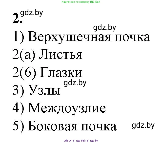 Биология, 7 класс Тетрадь для лабораторных и практических работ, автор: Лисов Николай Дмитриевич, издательство Аверсэв, Минск, 2022, зелёного цвета, страница 39, номер 2, Решение