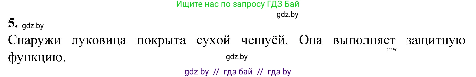 Биология, 7 класс Тетрадь для лабораторных и практических работ, автор: Лисов Николай Дмитриевич, издательство Аверсэв, Минск, 2022, зелёного цвета, страница 40, номер 5, Решение