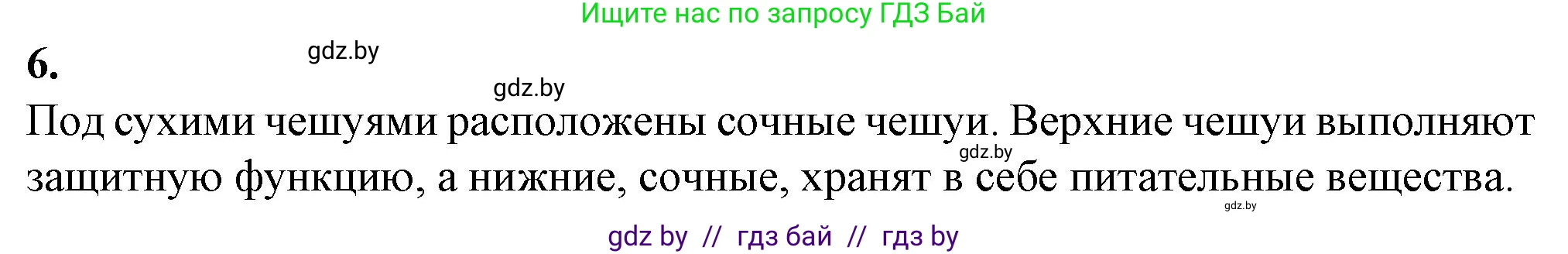 Биология, 7 класс Тетрадь для лабораторных и практических работ, автор: Лисов Николай Дмитриевич, издательство Аверсэв, Минск, 2022, зелёного цвета, страница 41, номер 6, Решение