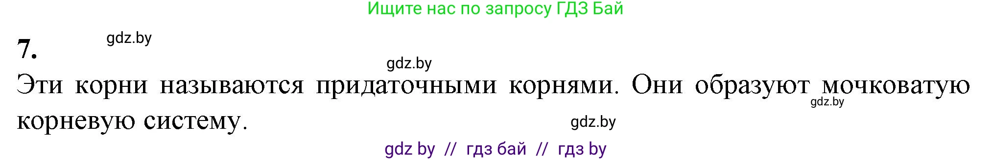 Биология, 7 класс Тетрадь для лабораторных и практических работ, автор: Лисов Николай Дмитриевич, издательство Аверсэв, Минск, 2022, зелёного цвета, страница 41, номер 7, Решение
