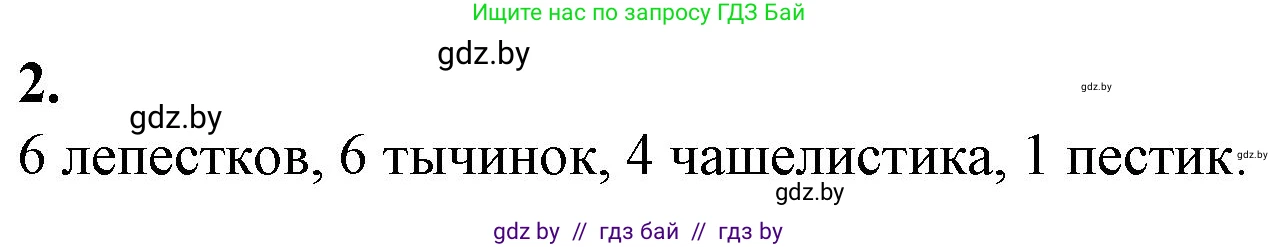 Биология, 7 класс Тетрадь для лабораторных и практических работ, автор: Лисов Николай Дмитриевич, издательство Аверсэв, Минск, 2022, зелёного цвета, страница 48, номер 2, Решение
