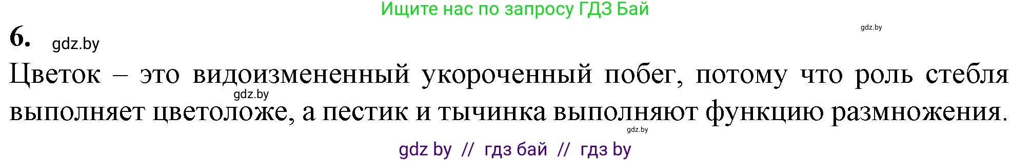 Биология, 7 класс Тетрадь для лабораторных и практических работ, автор: Лисов Николай Дмитриевич, издательство Аверсэв, Минск, 2022, зелёного цвета, страница 48, номер 6, Решение