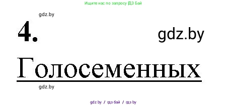 Биология, 7 класс Тетрадь для лабораторных и практических работ, автор: Лисов Николай Дмитриевич, издательство Аверсэв, Минск, 2022, зелёного цвета, страница 53, номер 4, Решение