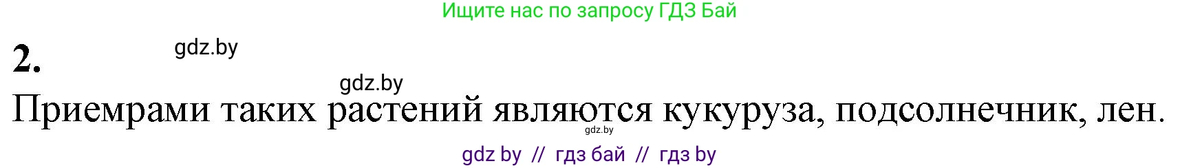 Биология, 7 класс Тетрадь для лабораторных и практических работ, автор: Лисов Николай Дмитриевич, издательство Аверсэв, Минск, 2022, зелёного цвета, страница 58, Решение