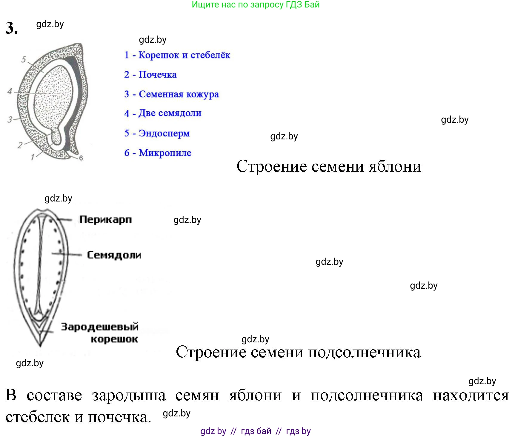 Биология, 7 класс Тетрадь для лабораторных и практических работ, автор: Лисов Николай Дмитриевич, издательство Аверсэв, Минск, 2022, зелёного цвета, страница 58, Решение