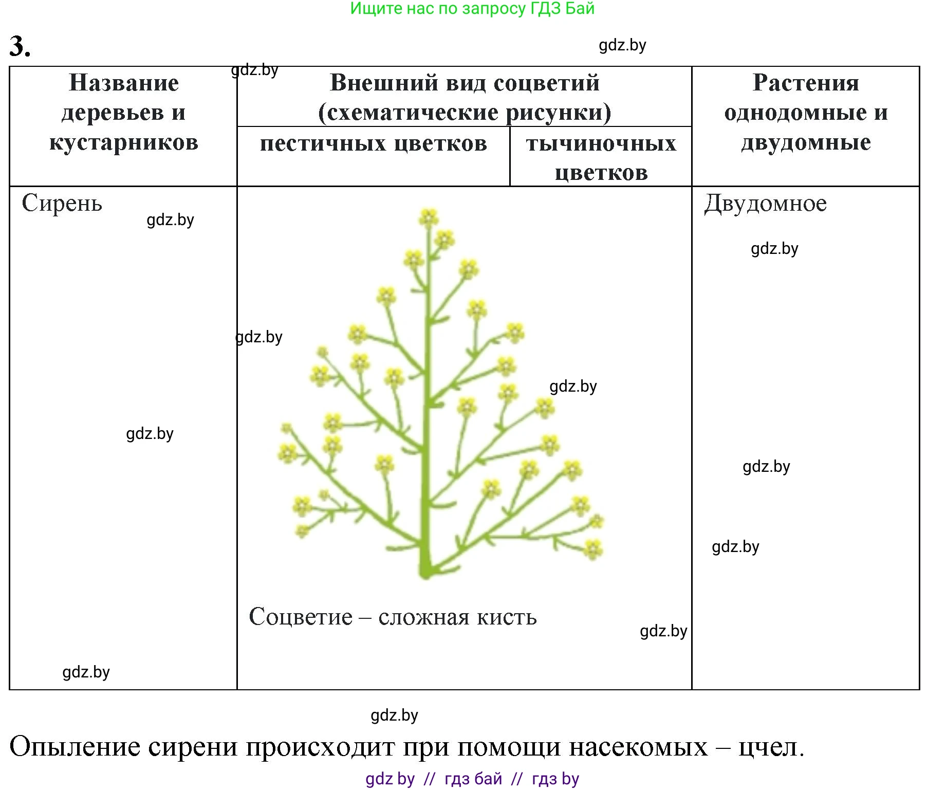 Биология, 7 класс Тетрадь для лабораторных и практических работ, автор: Лисов Николай Дмитриевич, издательство Аверсэв, Минск, 2022, зелёного цвета, страница 61, номер 3, Решение