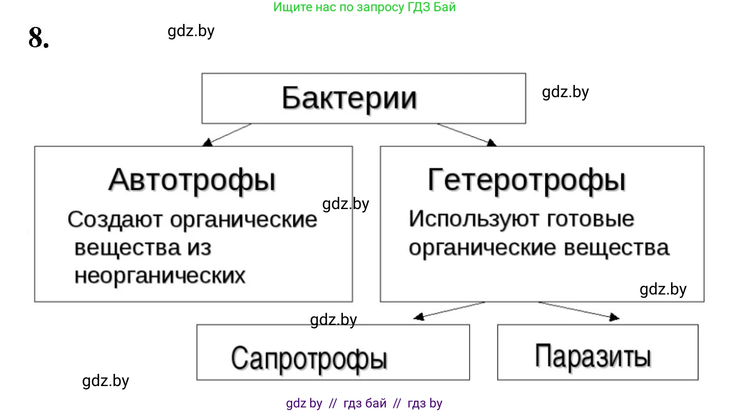 Биология, 7 класс рабочая тетрадь, автор: Лисов Николай Дмитриевич, издательство Аверсэв, Минск, 2022, коричневого цвета, страница 7, номер 8, Решение