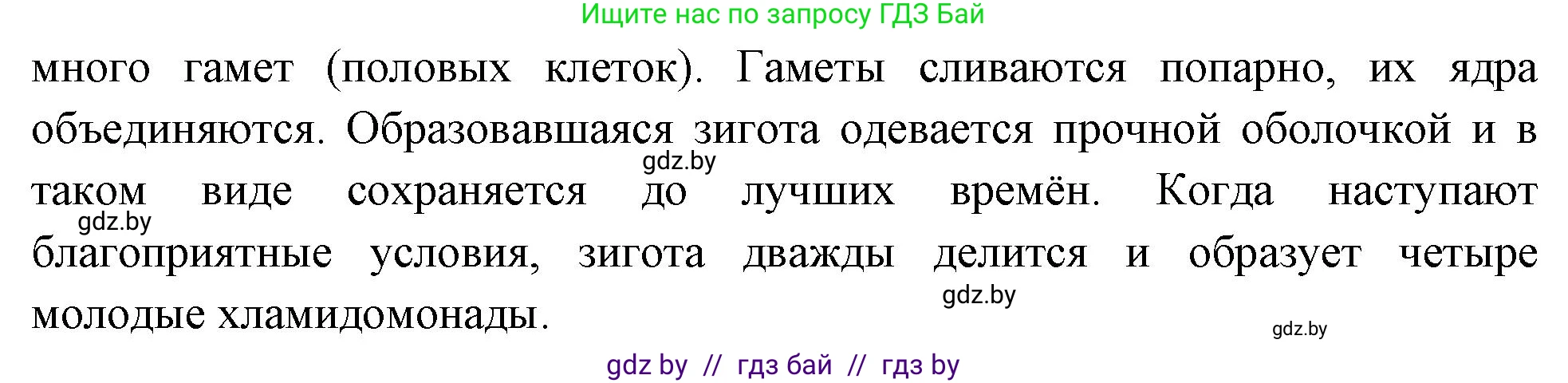 Биология, 7 класс рабочая тетрадь, автор: Лисов Николай Дмитриевич, издательство Аверсэв, Минск, 2022, коричневого цвета, страница 19, номер 4, Решение (продолжение 2)
