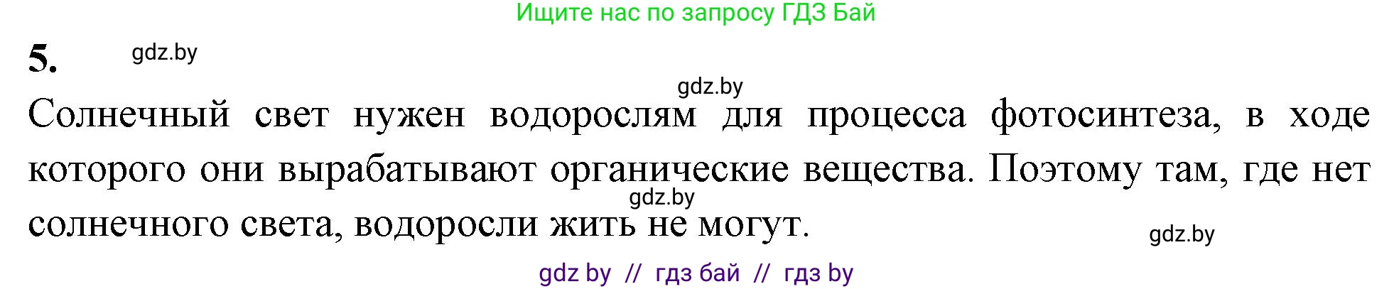 Биология, 7 класс рабочая тетрадь, автор: Лисов Николай Дмитриевич, издательство Аверсэв, Минск, 2022, коричневого цвета, страница 19, номер 5, Решение