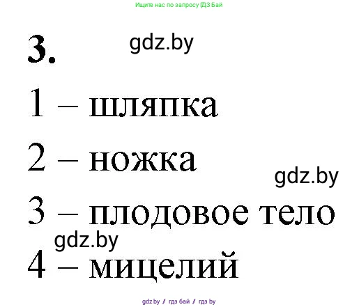 Биология, 7 класс рабочая тетрадь, автор: Лисов Николай Дмитриевич, издательство Аверсэв, Минск, 2022, коричневого цвета, страница 26, номер 3, Решение
