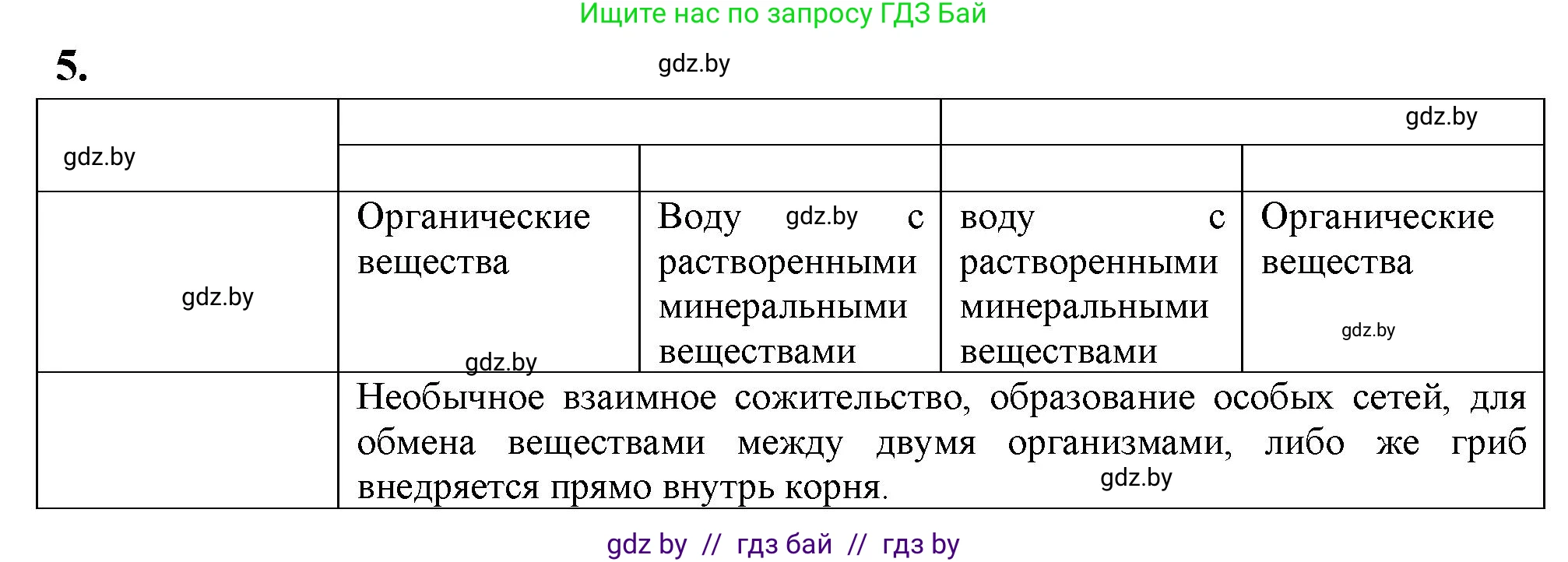 Биология, 7 класс рабочая тетрадь, автор: Лисов Николай Дмитриевич, издательство Аверсэв, Минск, 2022, коричневого цвета, страница 26, номер 5, Решение