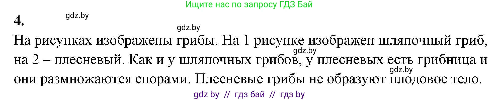 Биология, 7 класс рабочая тетрадь, автор: Лисов Николай Дмитриевич, издательство Аверсэв, Минск, 2022, коричневого цвета, страница 29, номер 4, Решение