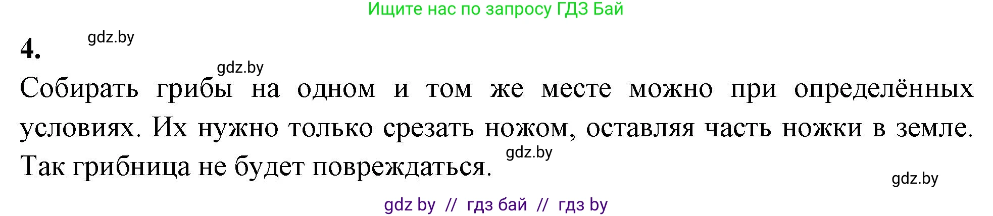 Биология, 7 класс рабочая тетрадь, автор: Лисов Николай Дмитриевич, издательство Аверсэв, Минск, 2022, коричневого цвета, страница 30, номер 4, Решение